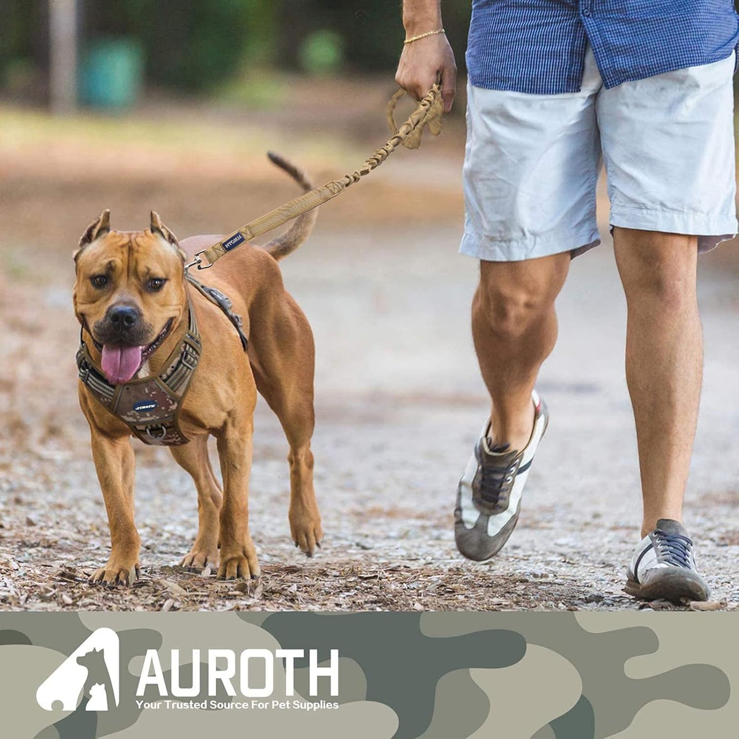Heavy Duty Bungee Dog Leash