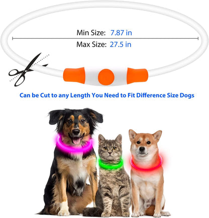 Rechargeable LED Dog Collar