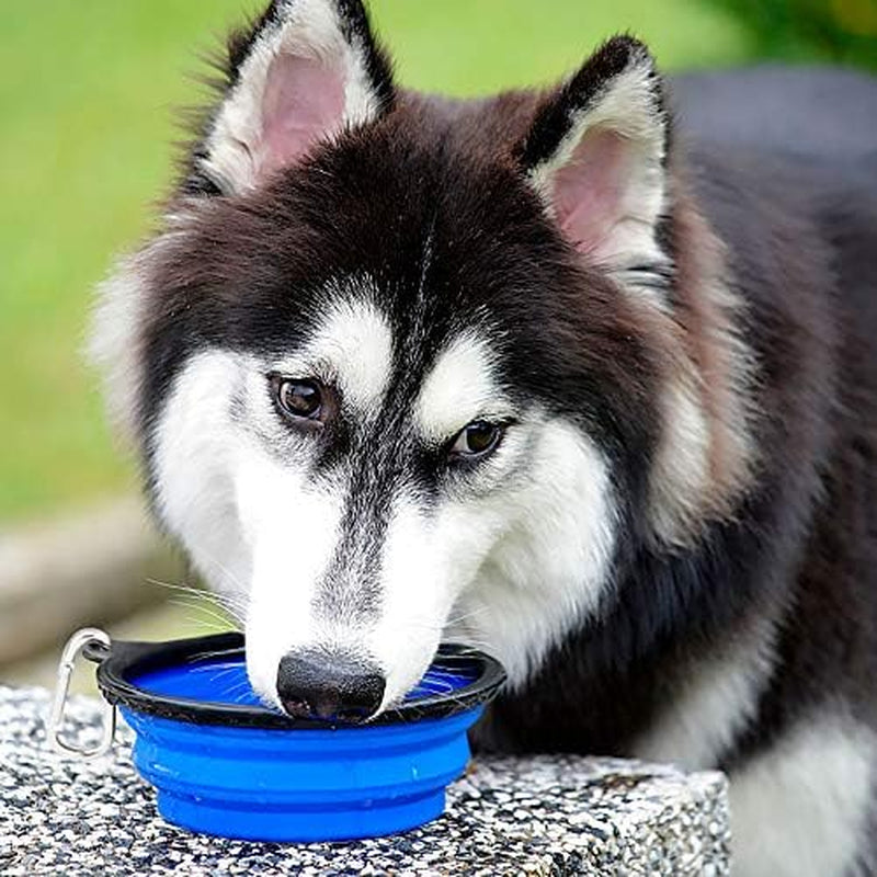 2-Pack Collapsible Travel Dog Bowls