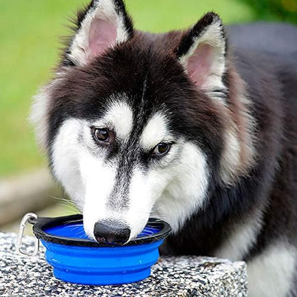 2-Pack Collapsible Travel Dog Bowls