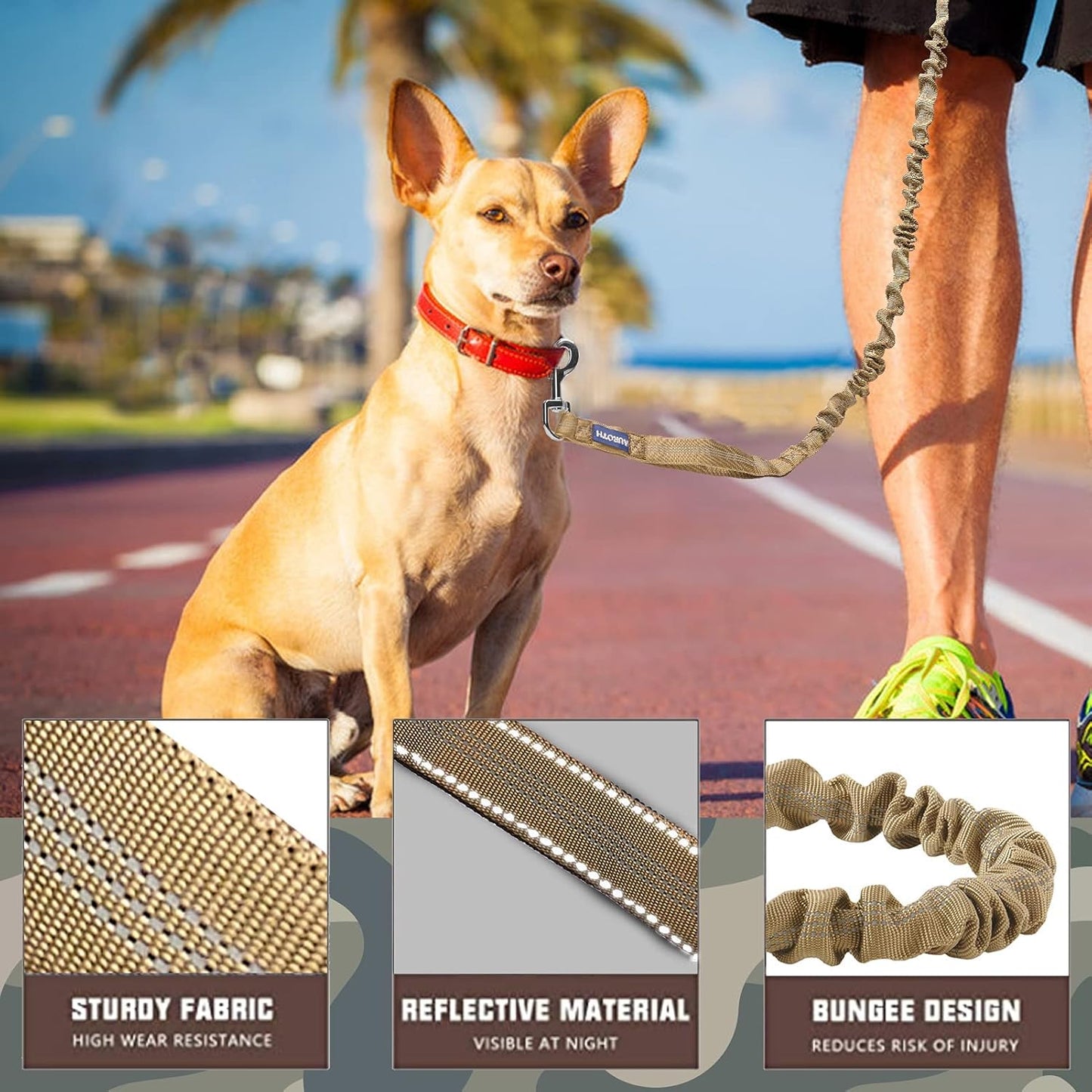 Heavy Duty Bungee Dog Leash