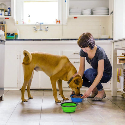 2-Pack Collapsible Travel Dog Bowls