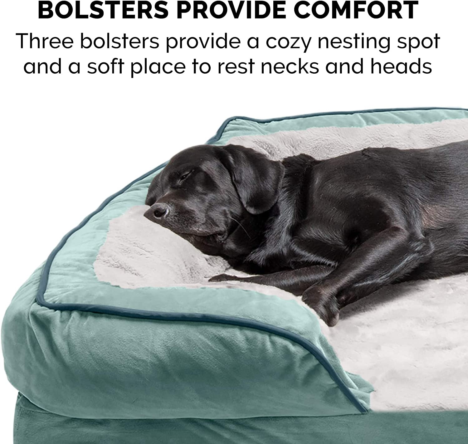 Small Memory Foam Dog Bed with Washable CoverD