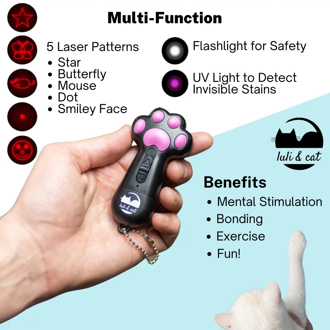 Interactive Cat Laser Toy Set