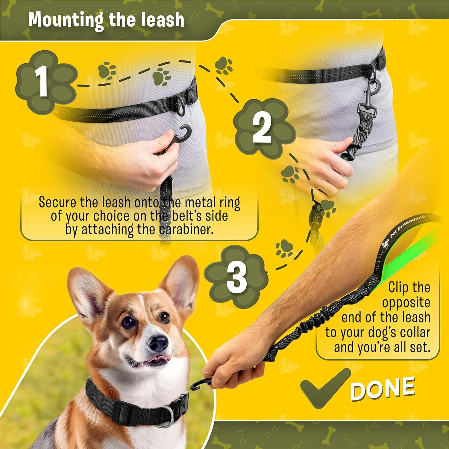 Hands-Free Dog Walking Leash