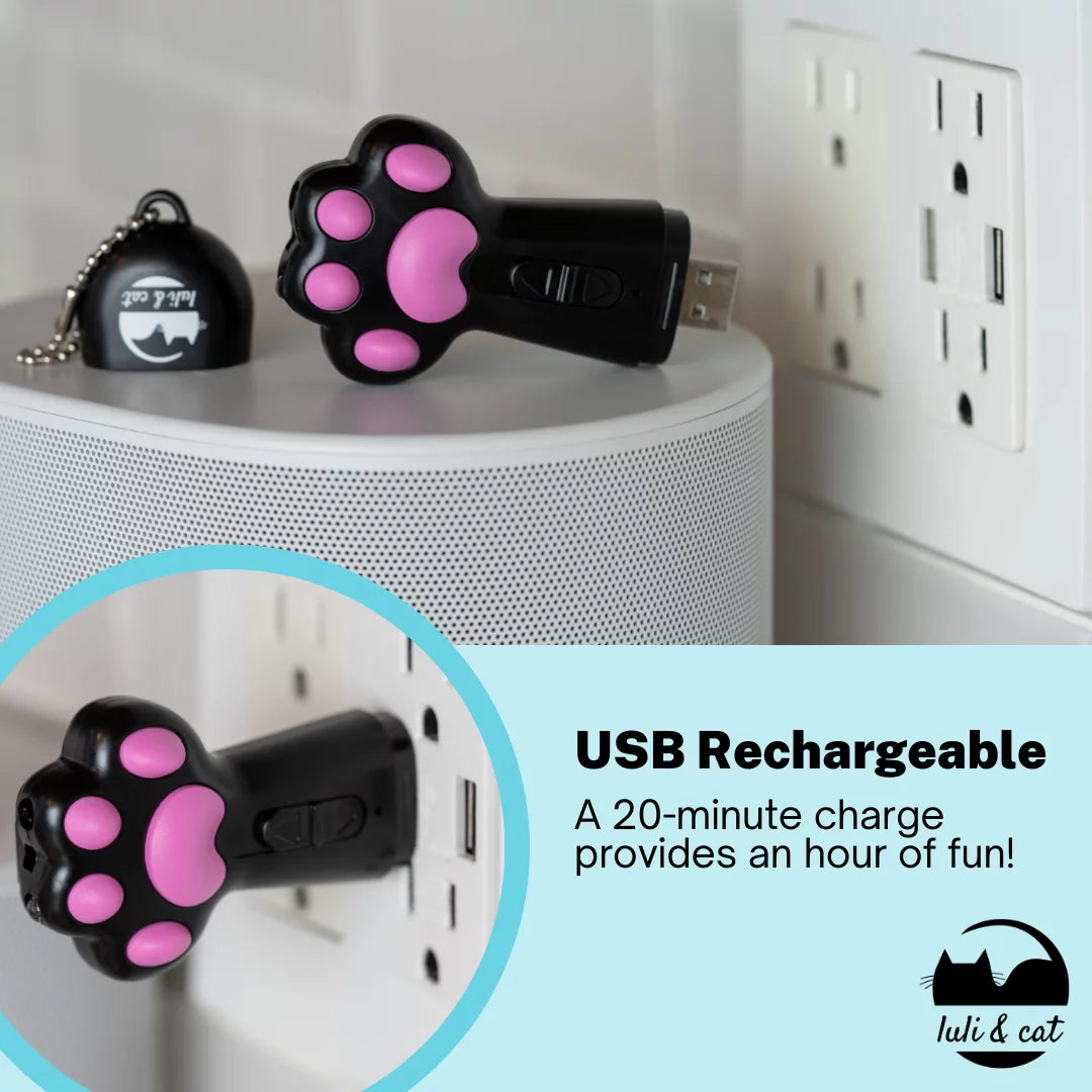 Interactive Cat Laser Toy Set