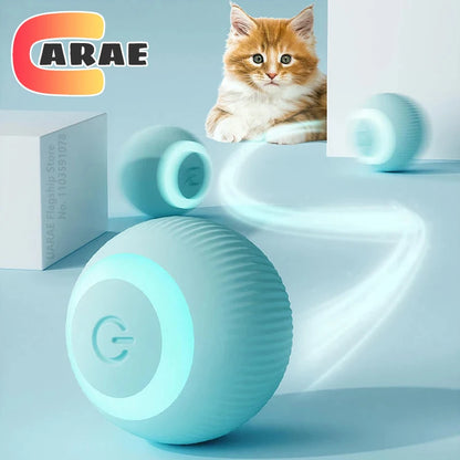 Rechargeable Interactive Cat Ball Toy for Indoor Cats