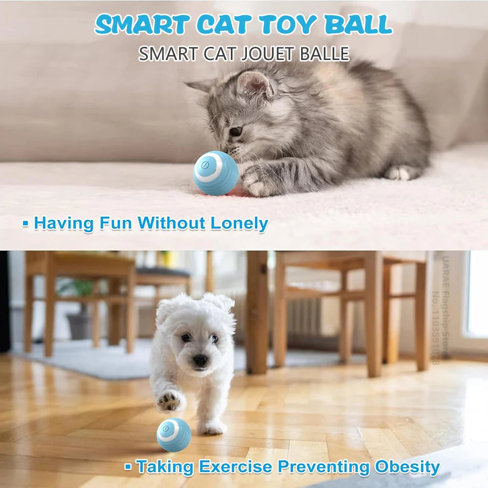 Rechargeable Interactive Cat Ball Toy for Indoor Cats