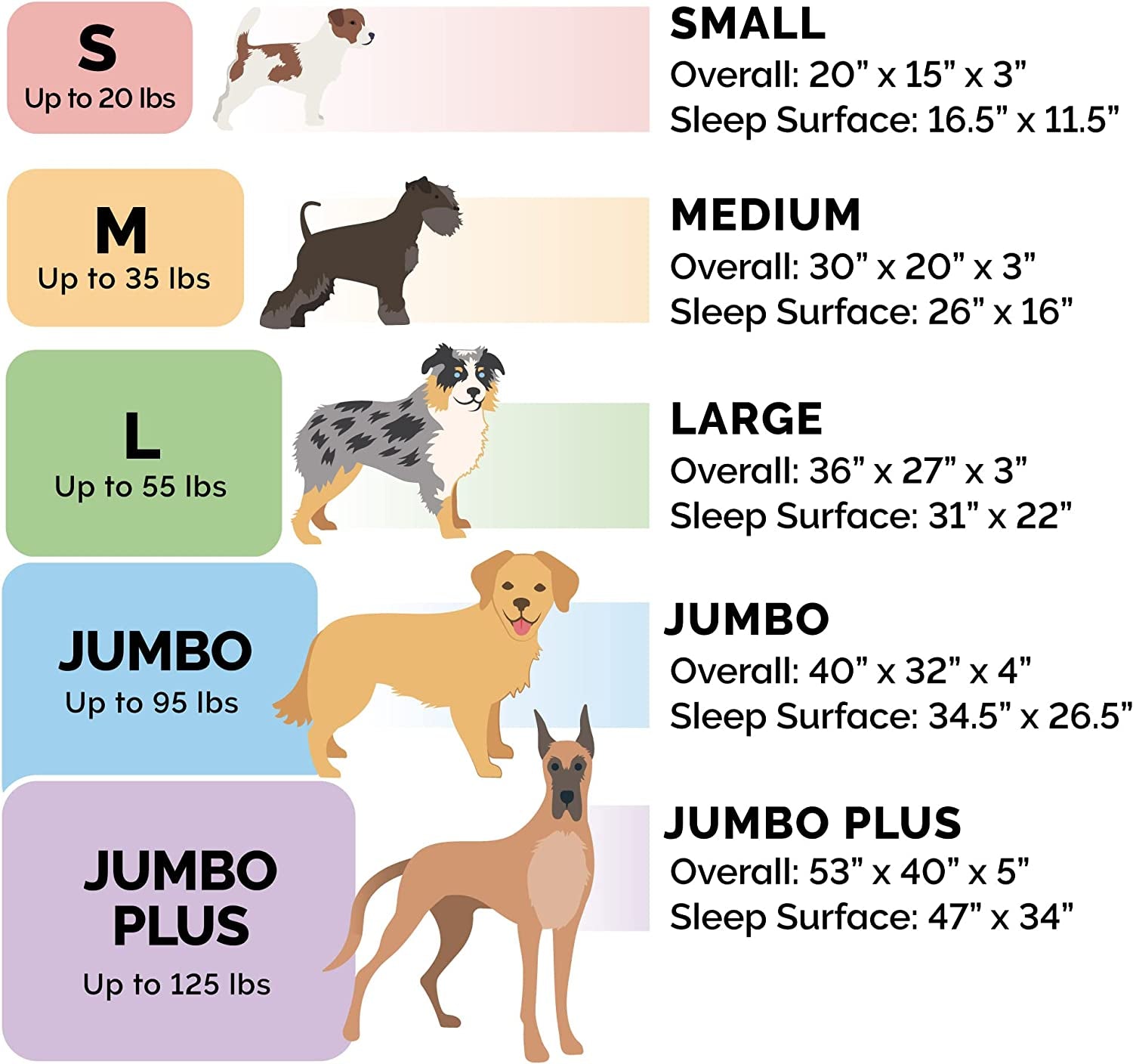 Small Memory Foam Dog Bed with Washable CoverD