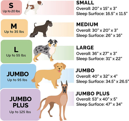 Small Memory Foam Dog Bed with Washable CoverD