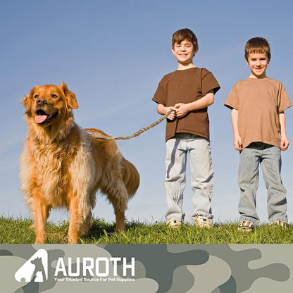 Heavy Duty Bungee Dog Leash