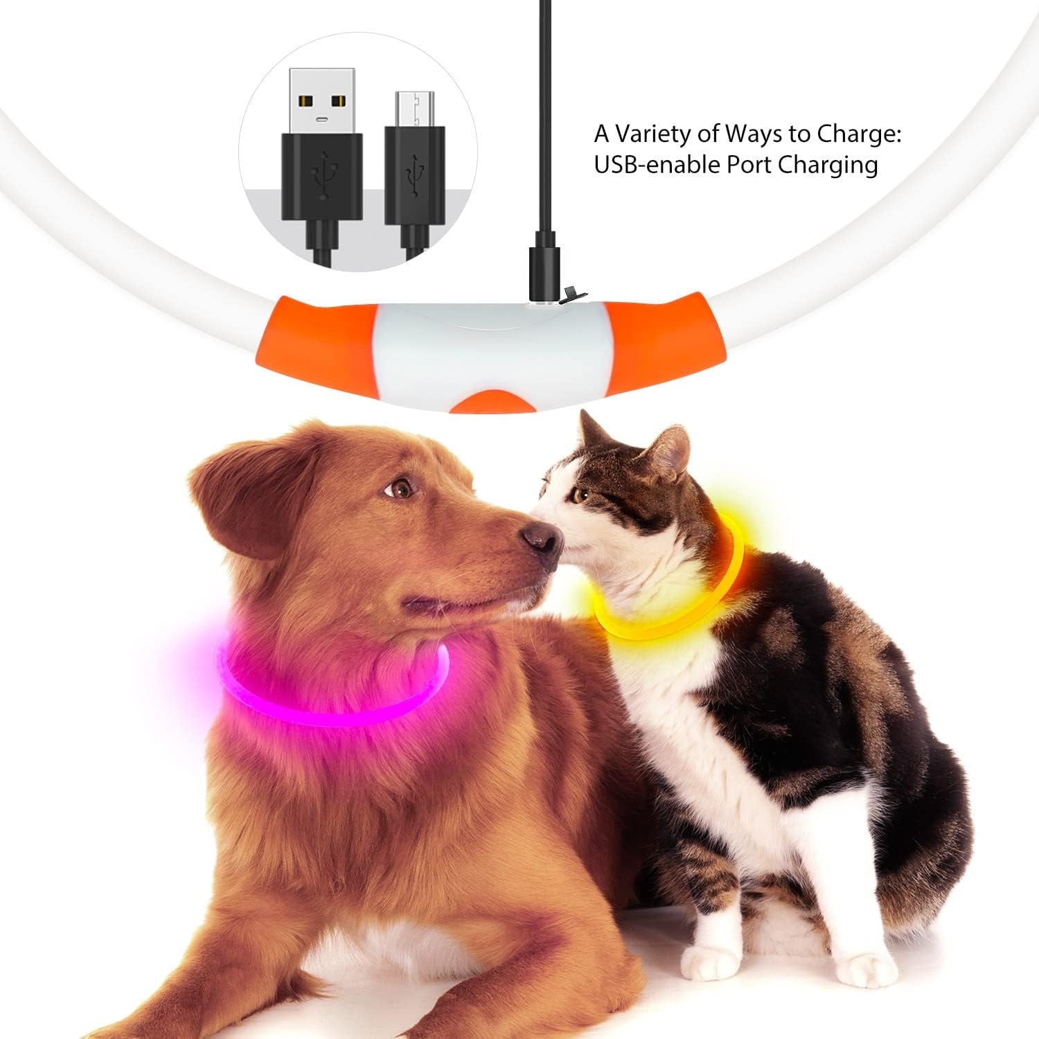 Rechargeable LED Dog Collar