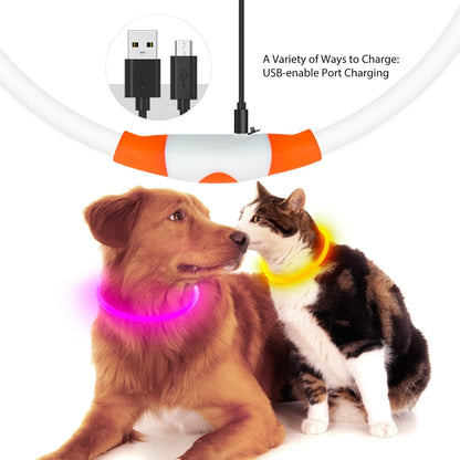 Rechargeable LED Dog Collar