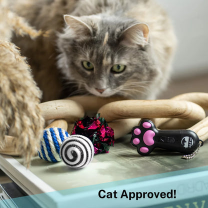 Interactive Cat Laser Toy Set