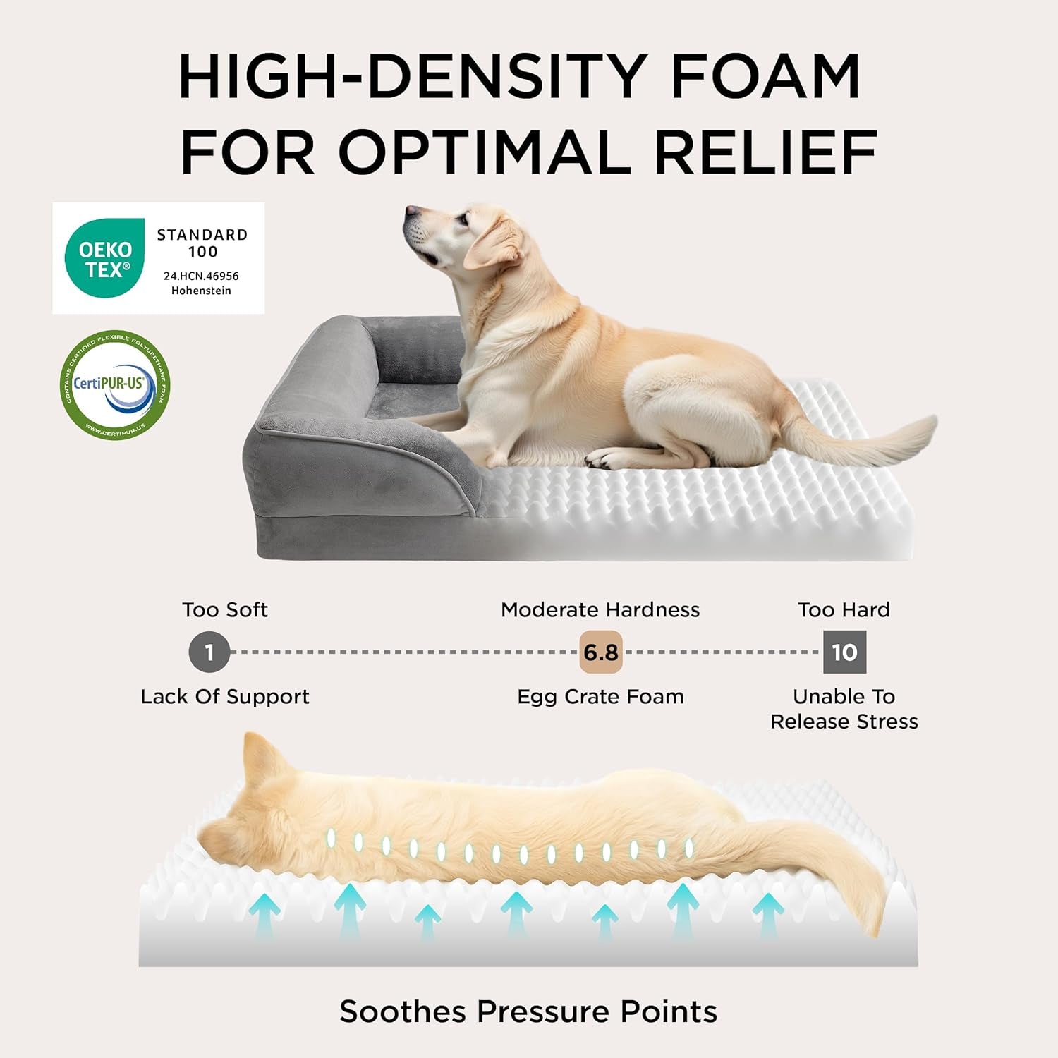 Orthopedic Dog Bed