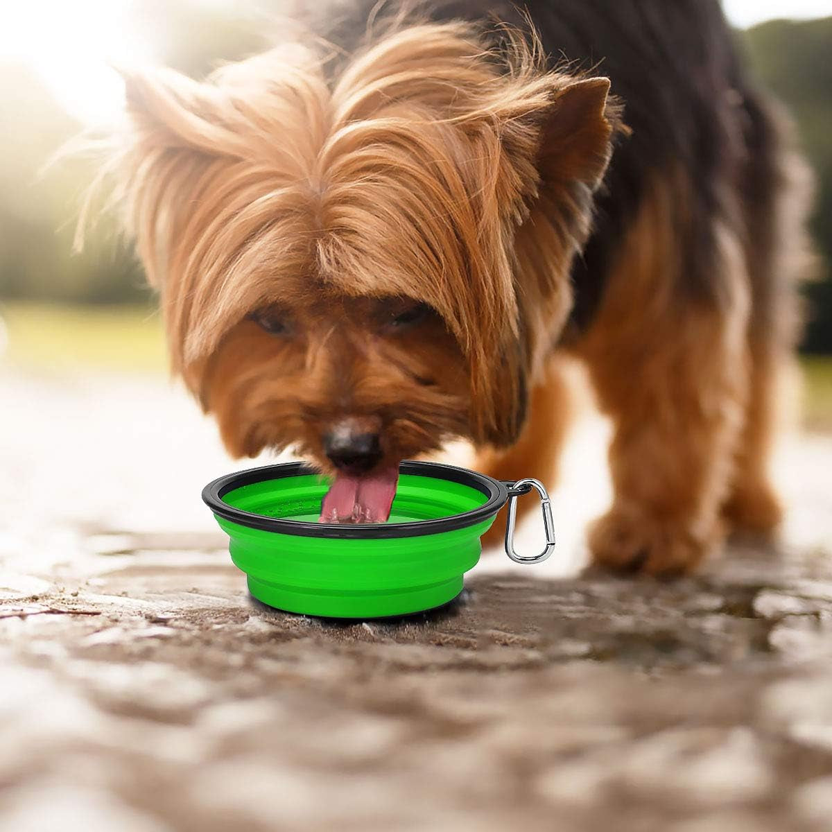2-Pack Collapsible Travel Dog Bowls