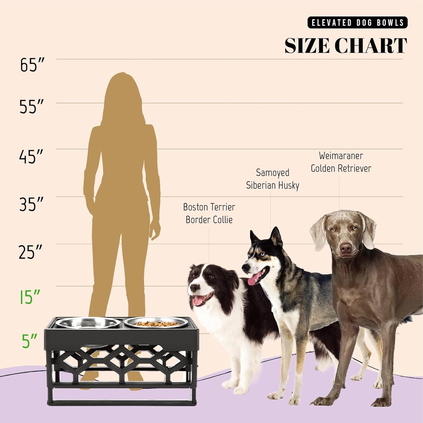 Adjustable Elevated Dog Bowls with Stand