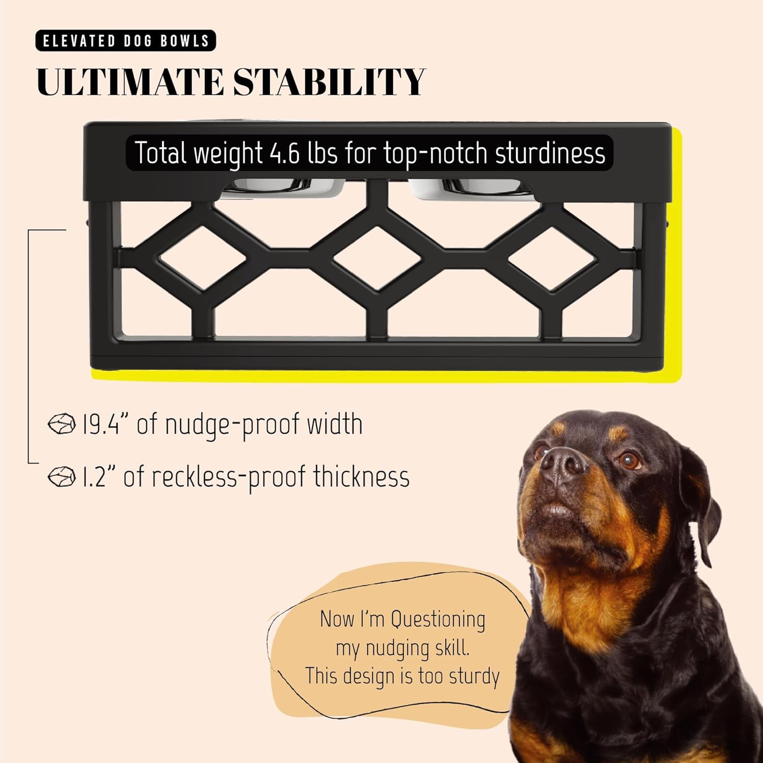 Adjustable Elevated Dog Bowls with Stand