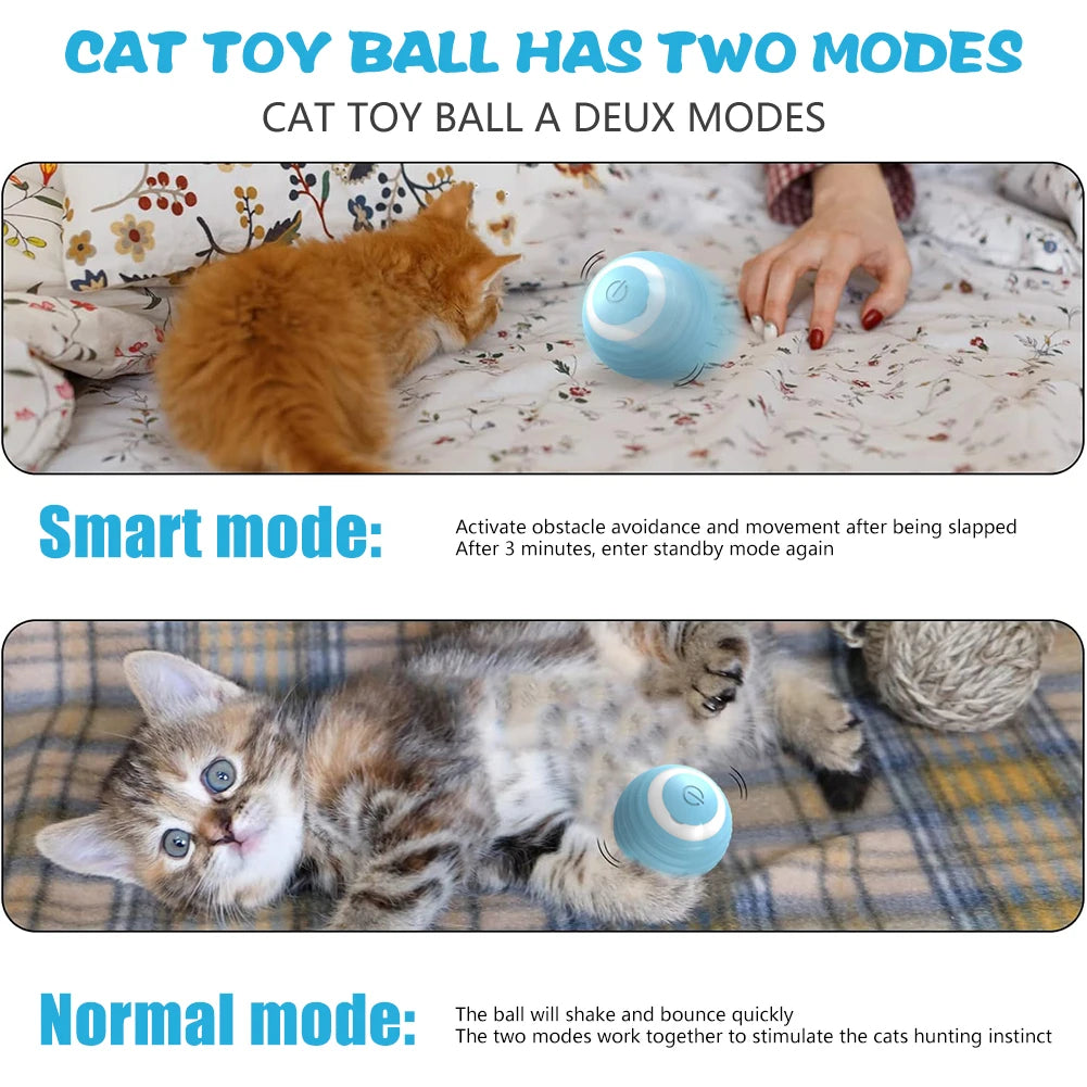 Rechargeable Interactive Cat Ball Toy for Indoor Cats
