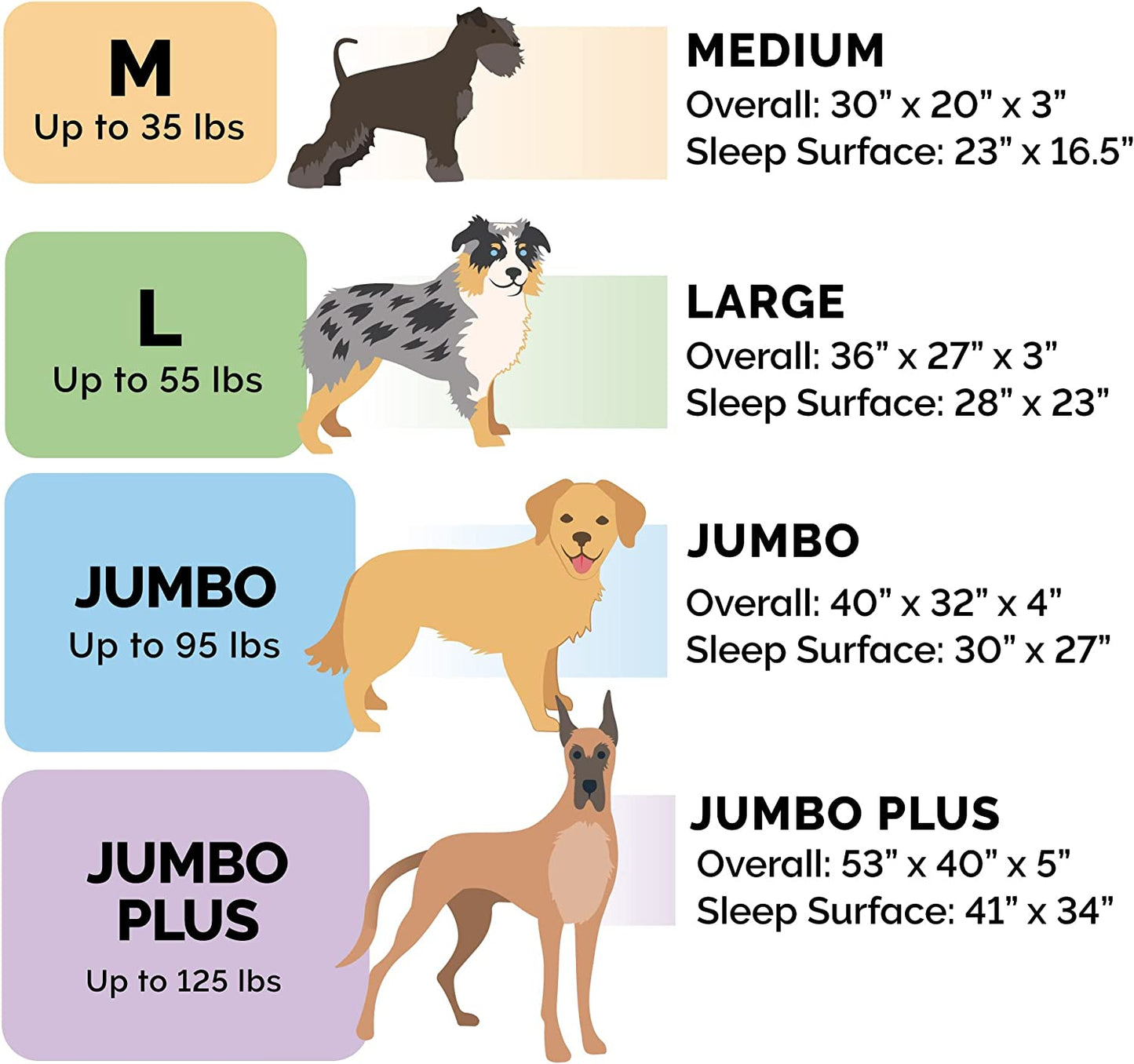 Orthopedic Dog Bed with Washable Cover