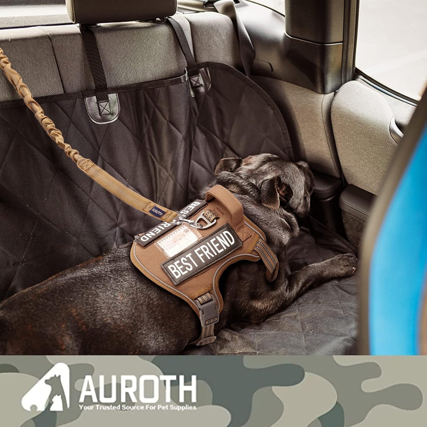 Heavy Duty Bungee Dog Leash